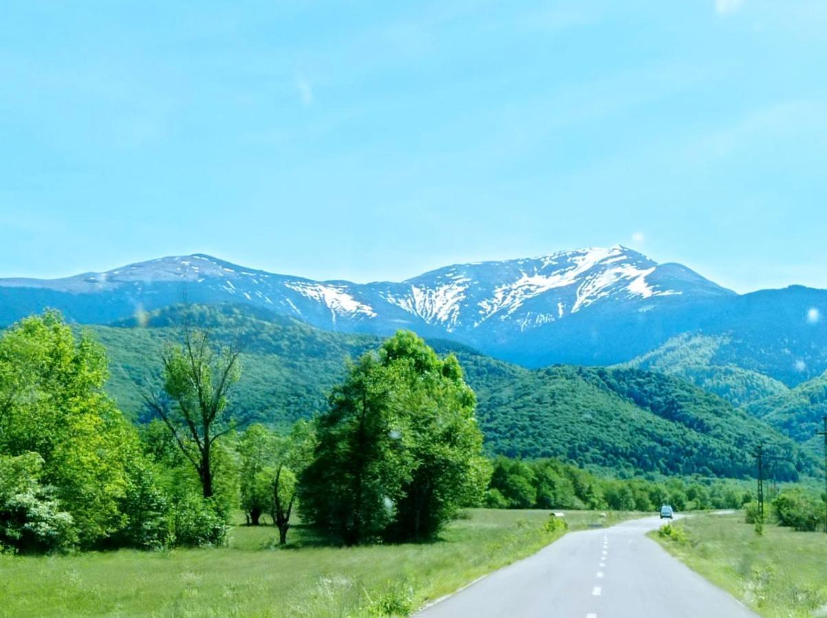 Pensiunea Valea Lisei Lisa Εξωτερικό φωτογραφία